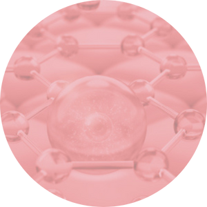 Icono TGlaucina, D&uacute;o Cafe&iacute;na+ Carnitina ,  Tea hydroide , Drosera ramentacea